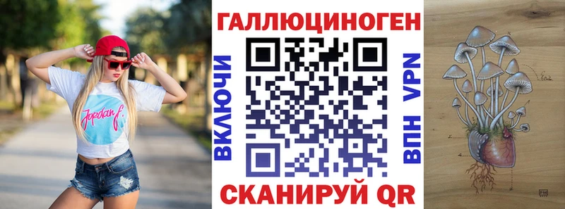 Псилоцибиновые грибы мицелий  Купить  Моздок 